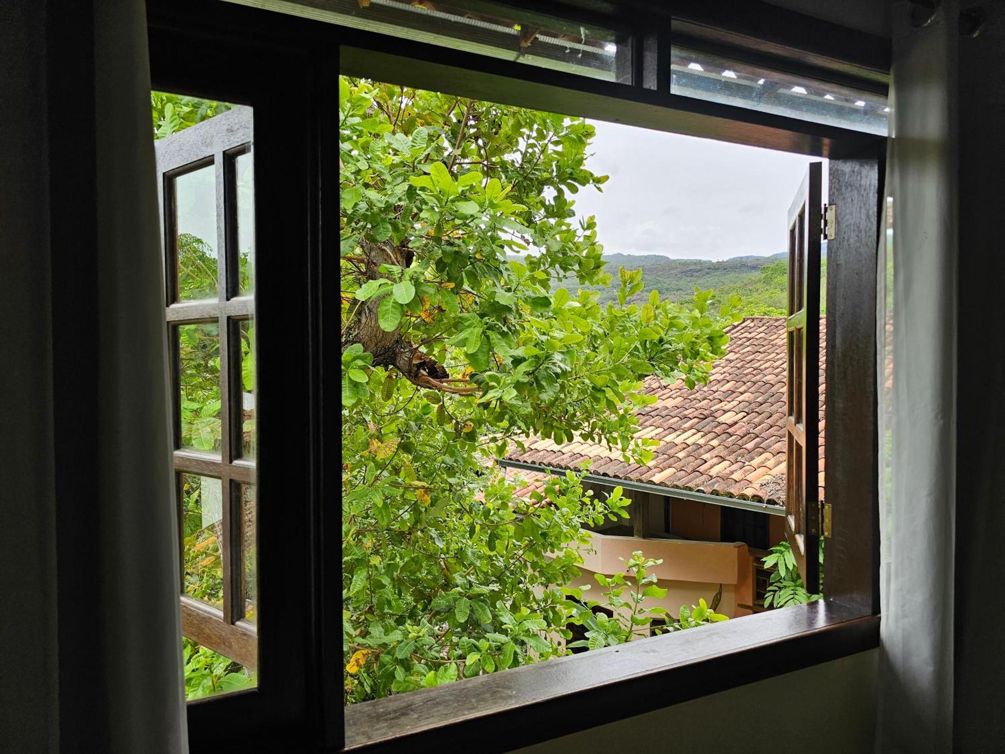 Canto Verde