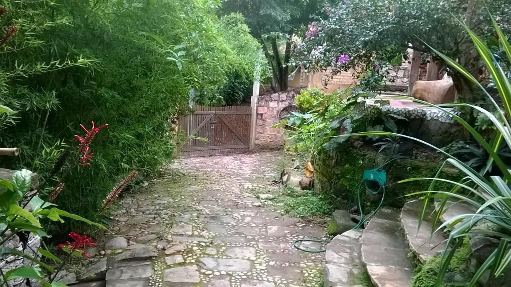 Canto Verde *