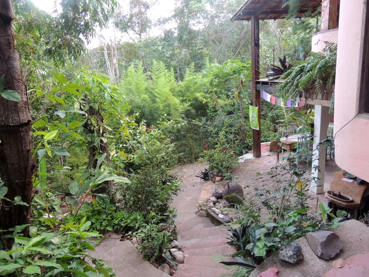 Canto Verde